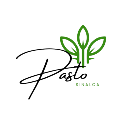 Mi tienda